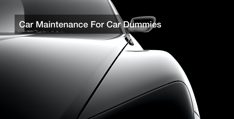 Car Maintenance For Car Dummies - 1302 Super auto repair service, auto